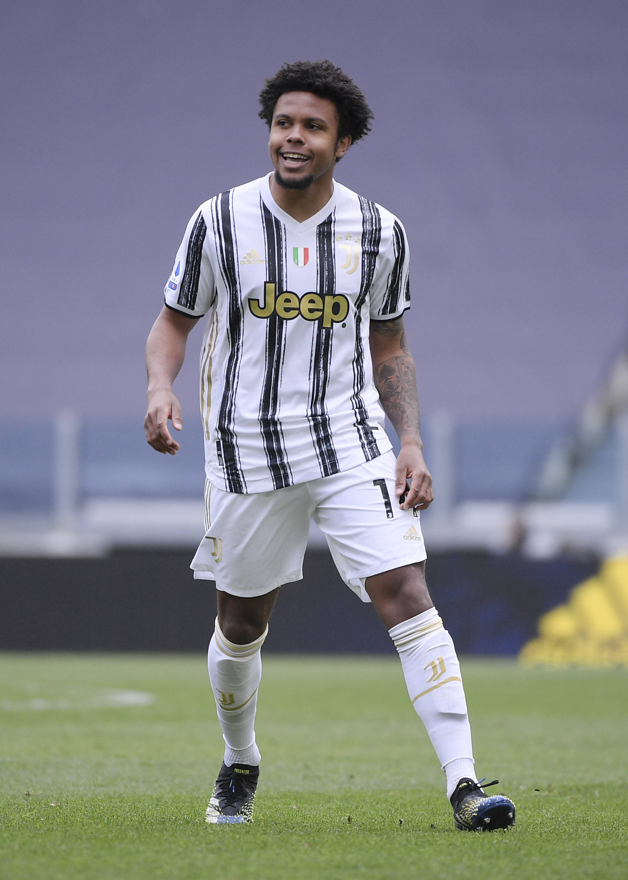 角的潜质 角的潜质